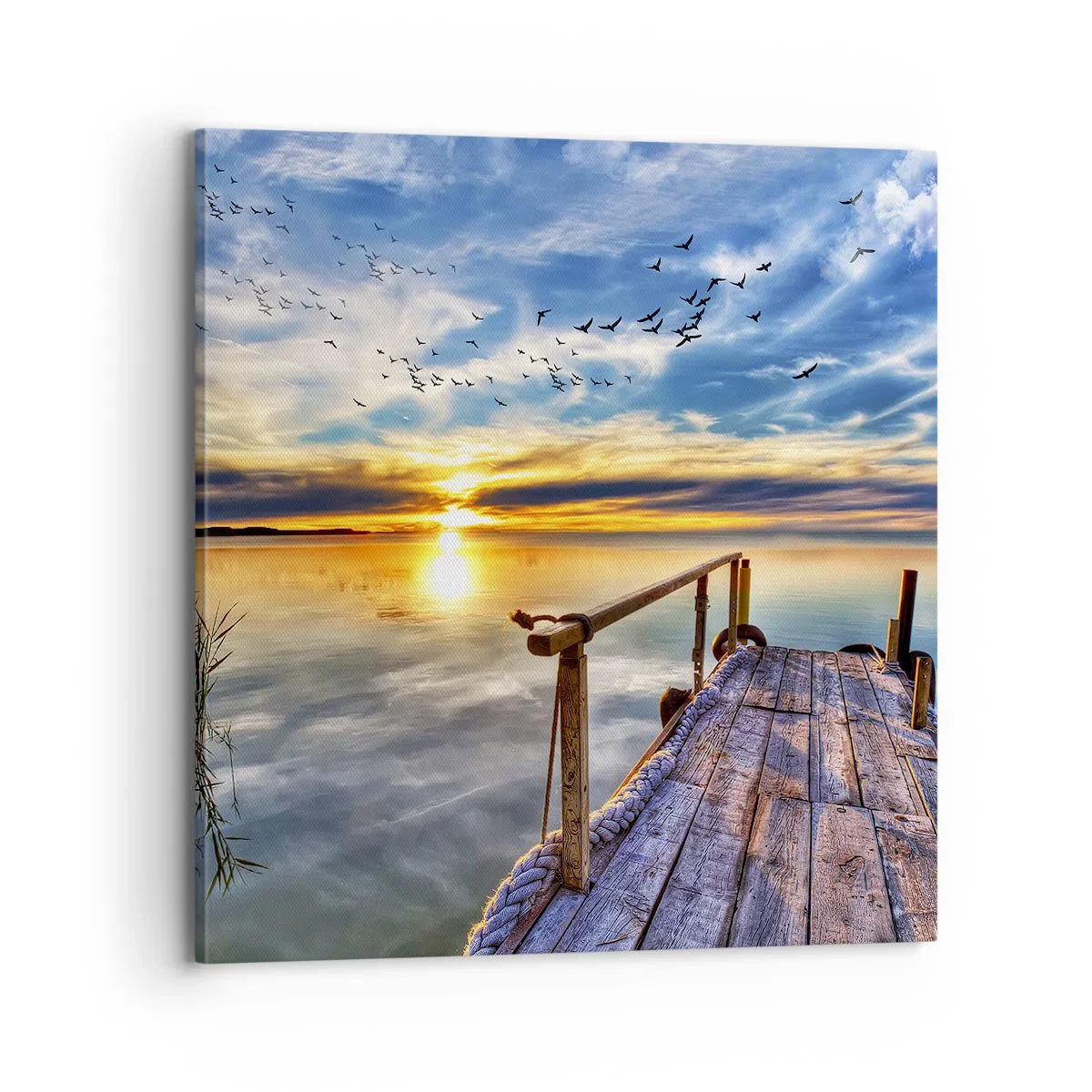Quadro em tela - O vento descansa - 70x70 cm