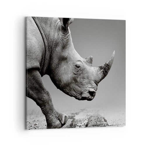 Quadro em tela - Força imparável - 50x50 cm