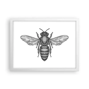 Pôster em moldura branca - Retrato de um inseto - 40x30 cm