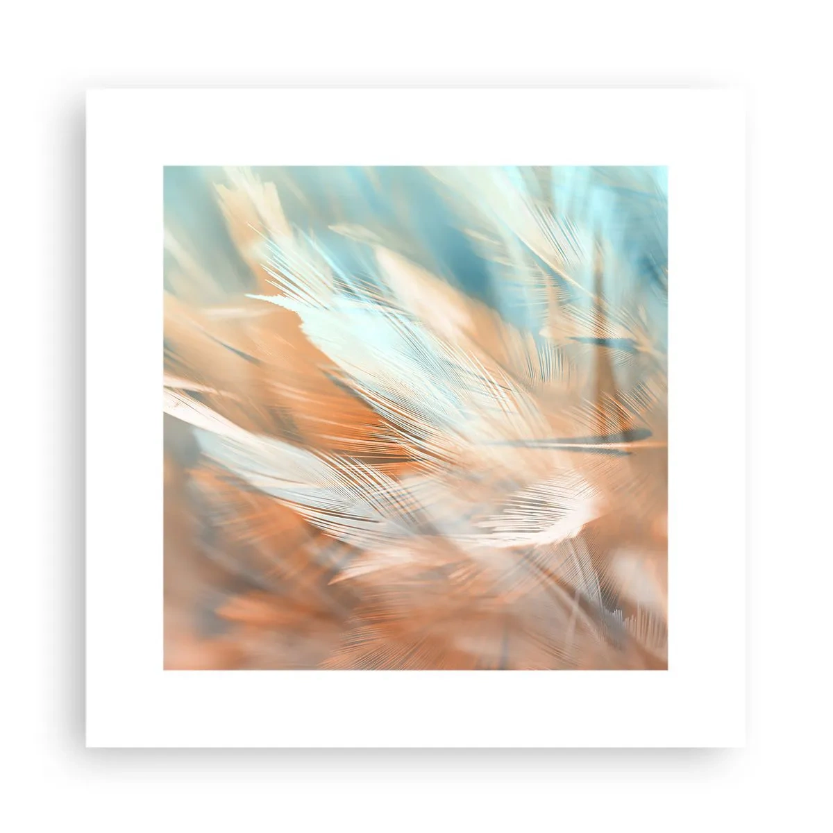 Pôster - Na terra da gentileza - 30x30 cm