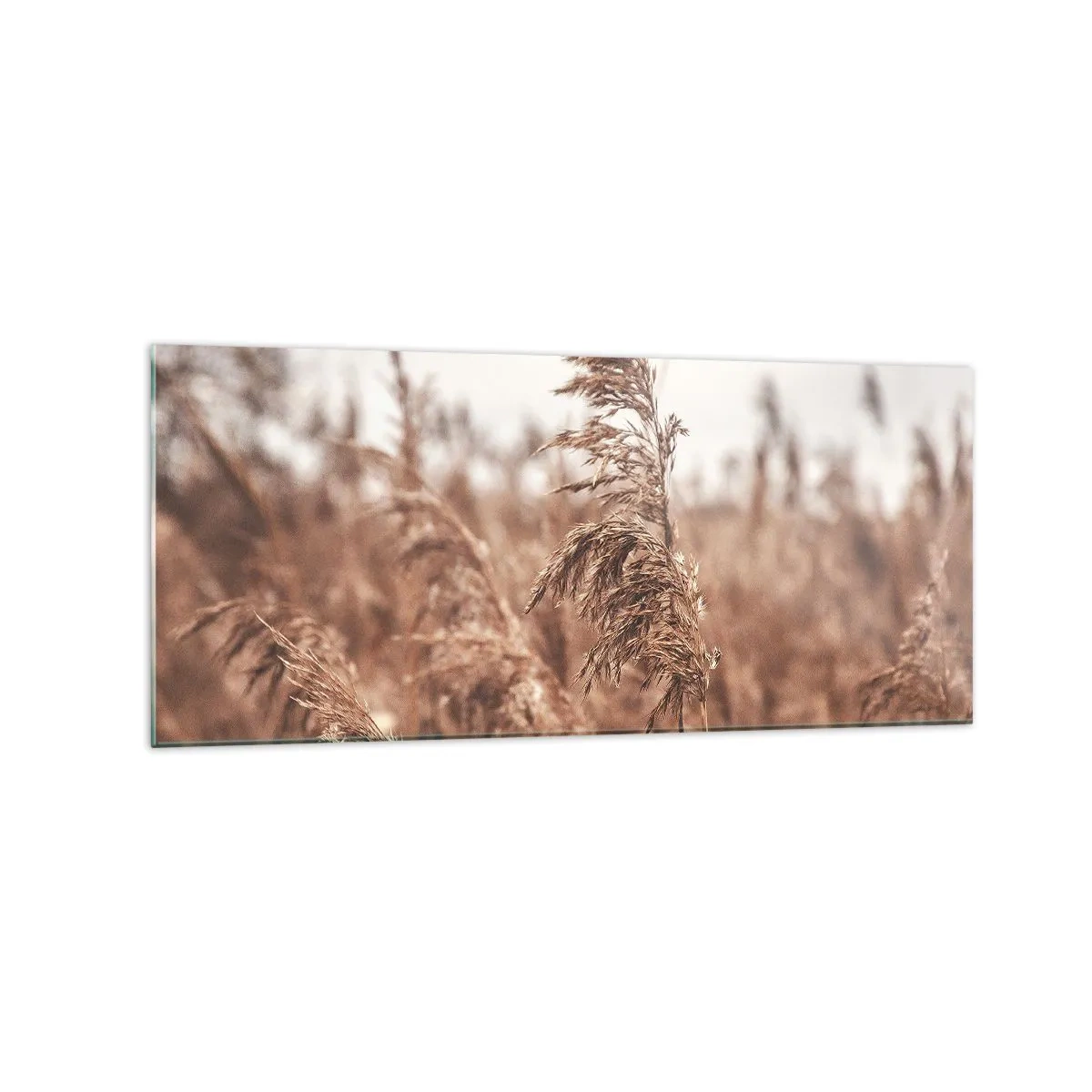 Quadro em vidro - O outono já chegou ao campo - 120x50 cm