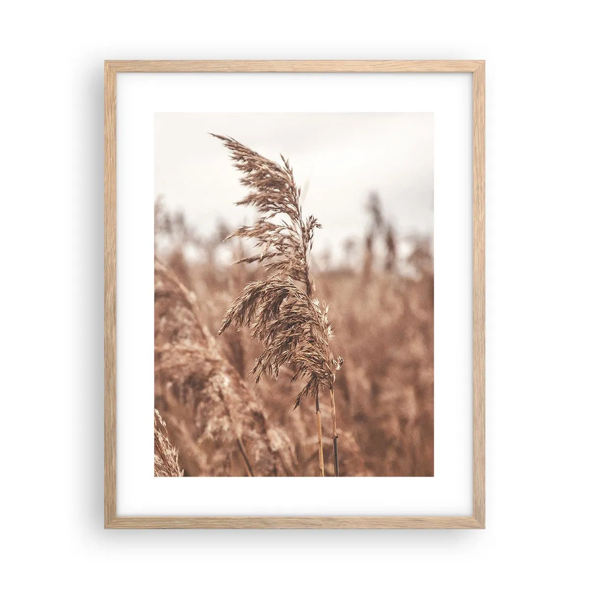 Pôster com moldura de carvalho claro - O outono já chegou ao campo - 40x50 cm