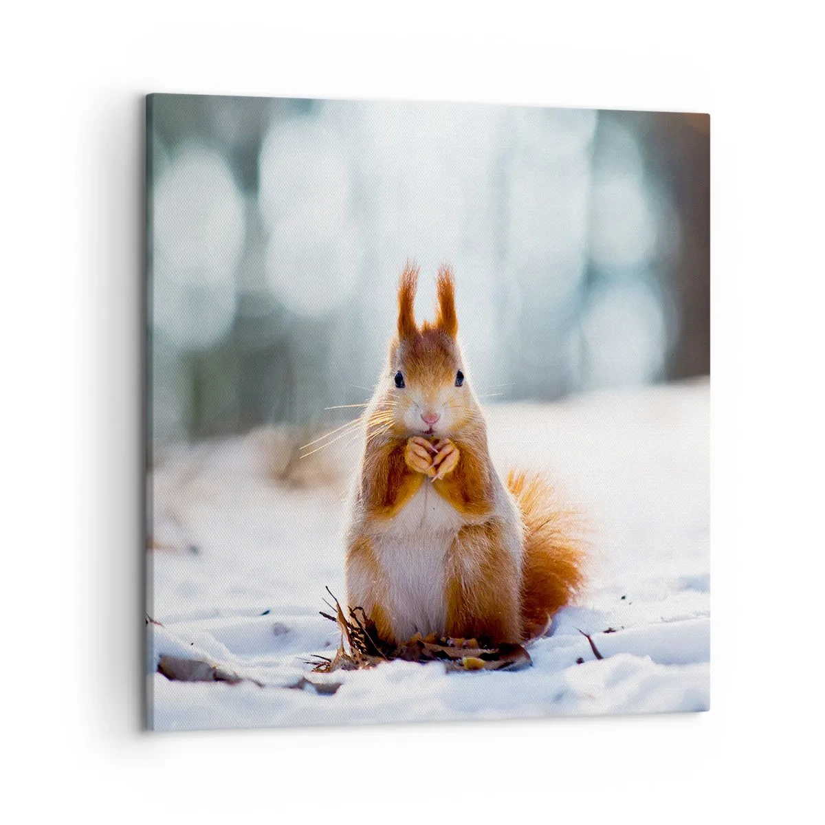 Quadro em tela - Para o que estás a olhar? - 50x50 cm