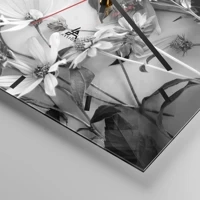 Mostrador com traços