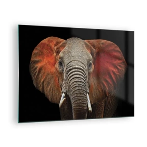 Quadro em vidro - Retrato de um elefante majestoso contra um fundo preto - 70x50cm - Eu sou selvagem, e você? - Decoração de parede moderna para a sala de estar e quarto ARTTOR