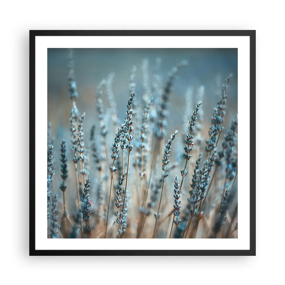 Pôster com moldura preta - Prado perfumado - 60x60 cm