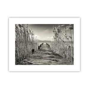 Pôster - No silêncio da relva - 40x30 cm