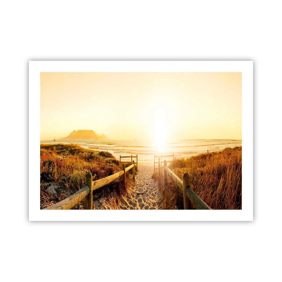 Pôster - Pelaa duna, em direção ao sol - 70x50 cm