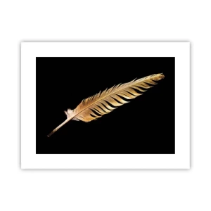 Pôster - É uma pena - 40x30 cm