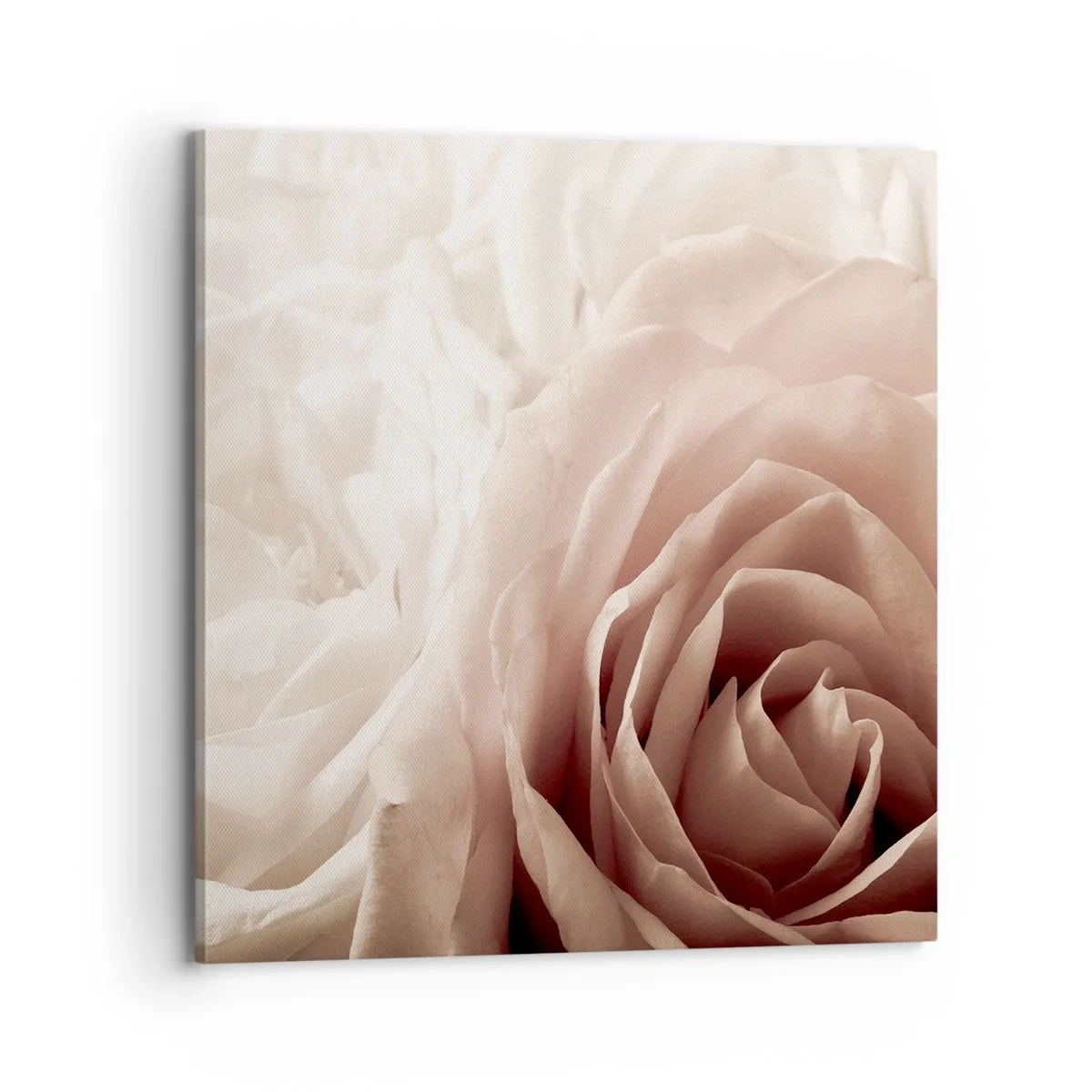 Quadro em tela - No coração de uma rosa - 70x70 cm