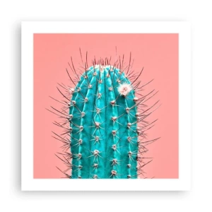 Pôster - Apenas olhe - 50x50 cm