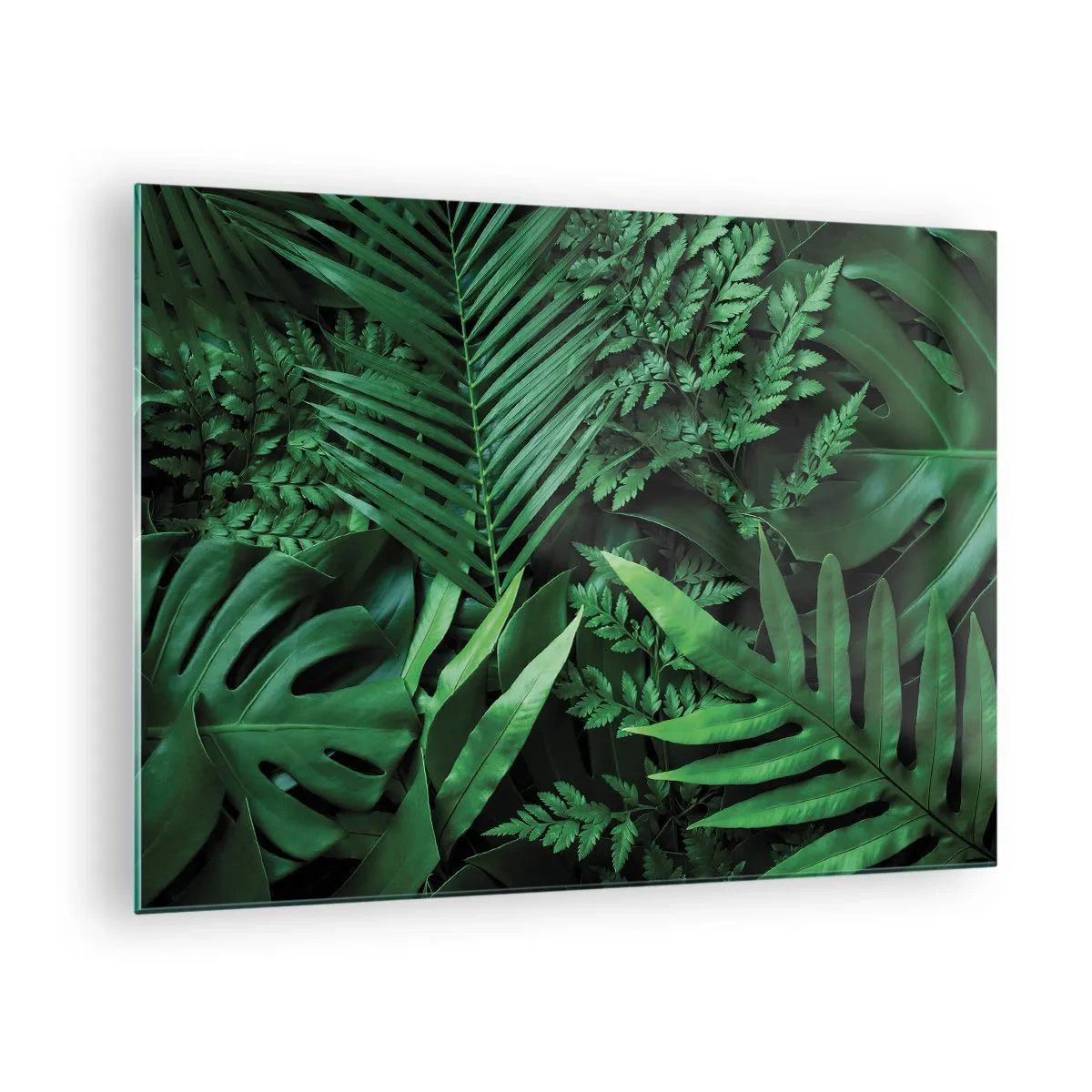 Quadro em vidro - Folhas verdes densas de plantas tropicais na composição - 70x50cm - Envolto em verde - Decoração de parede moderna para a sala de estar e quarto ARTTOR