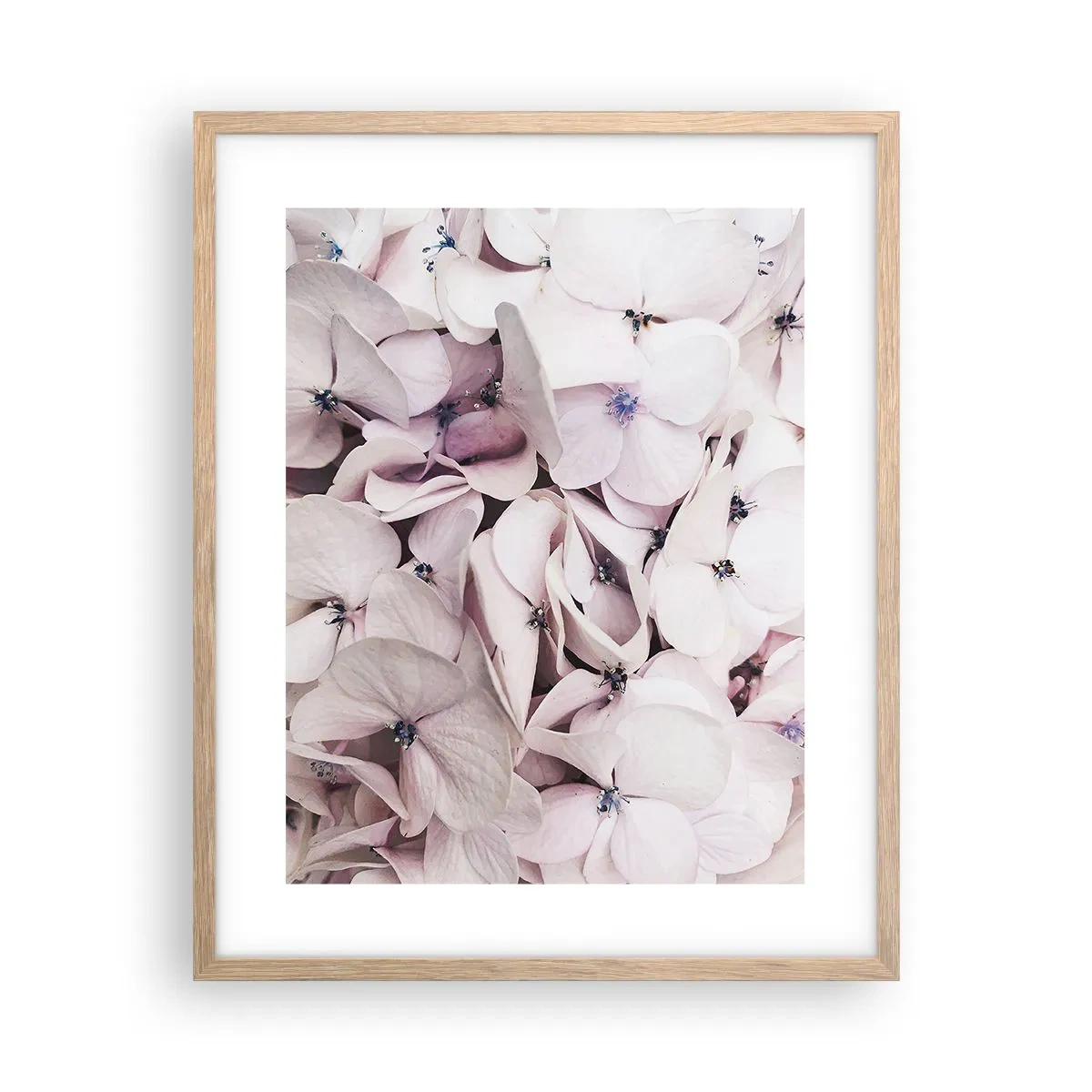 Pôster com moldura de carvalho claro - Em uma inundação de flores - 40x50 cm