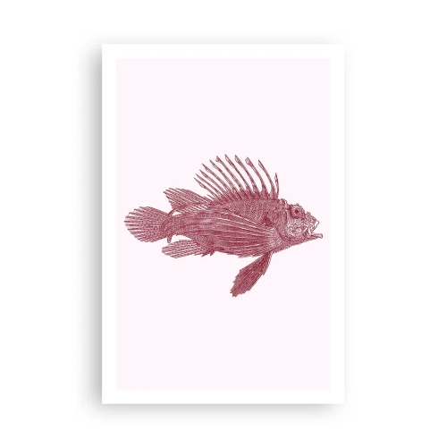 Pôster - Um habitante de águas exóticas - 61x91 cm
