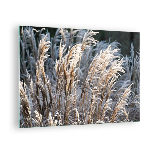 Quadro em vidro - Gramíneas congeladas no sol de inverno - 70x50cm - Decorado com a geada - Decoração de parede moderna para a sala de estar e quarto ARTTOR