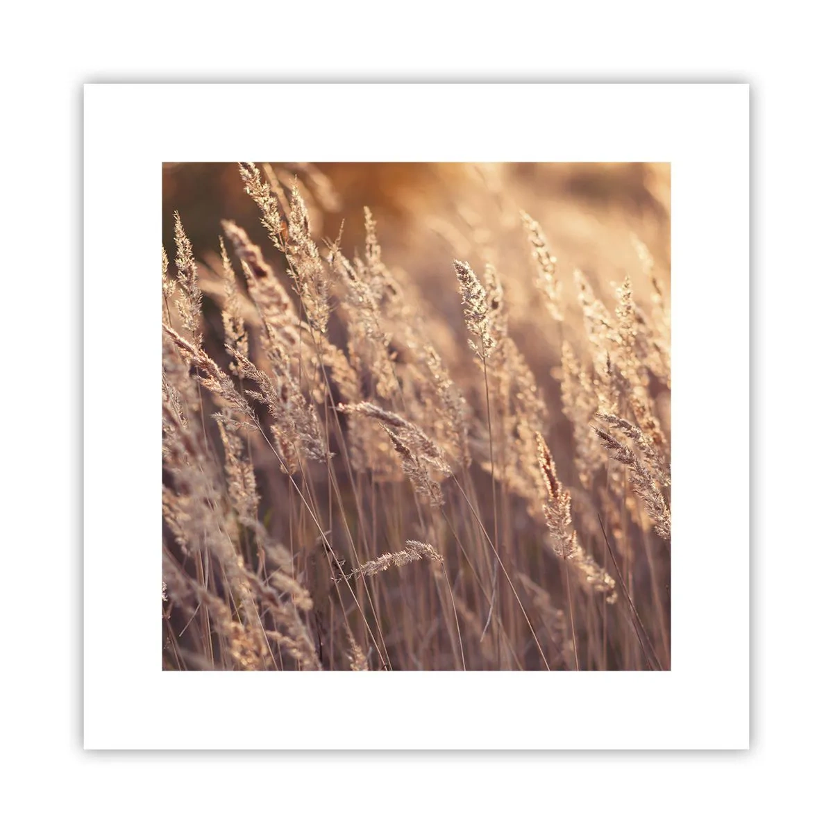 Pôster - Pronto para receber o outono - 30x30 cm