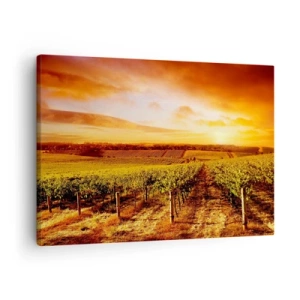 Quadro em tela - Vinhedo ao pôr do sol com tons quentes do céu - 70x50cm - Delicadamente frutado com um toque de sol - Decoração de parede moderna para a sala de estar e quarto ARTTOR
