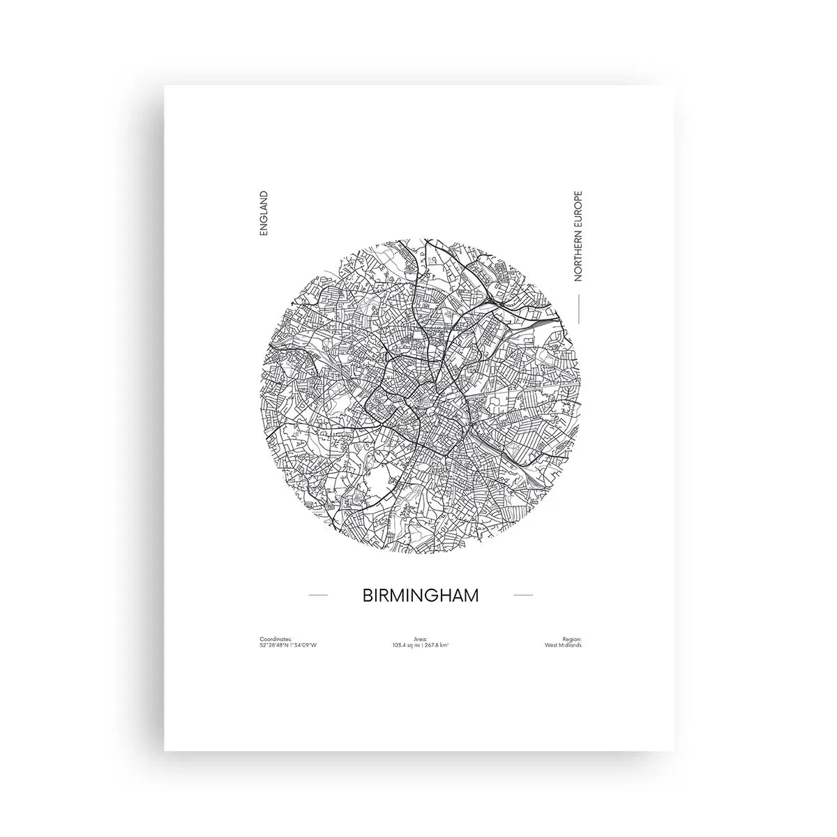 Pôster - Anatomia de Birmingham - 30x40 cm