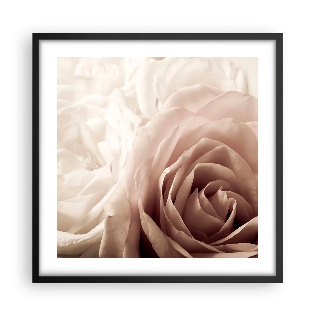 Pôster com moldura preta - No coração de uma rosa - 50x50 cm