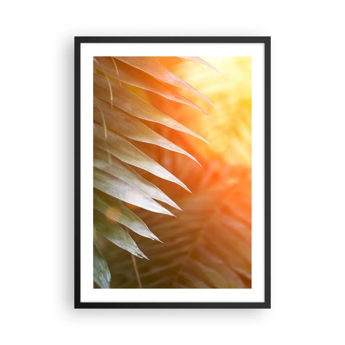 Pôster com moldura preta - Folhas de palmeira à luz do pôr do sol - 50x70cm - Manhã na selva - Decoração de parede moderna para a sala de estar e quarto ARTTOR