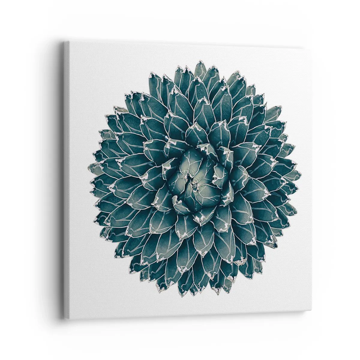 Quadro em tela - Estrela do Deserto - 30x30 cm