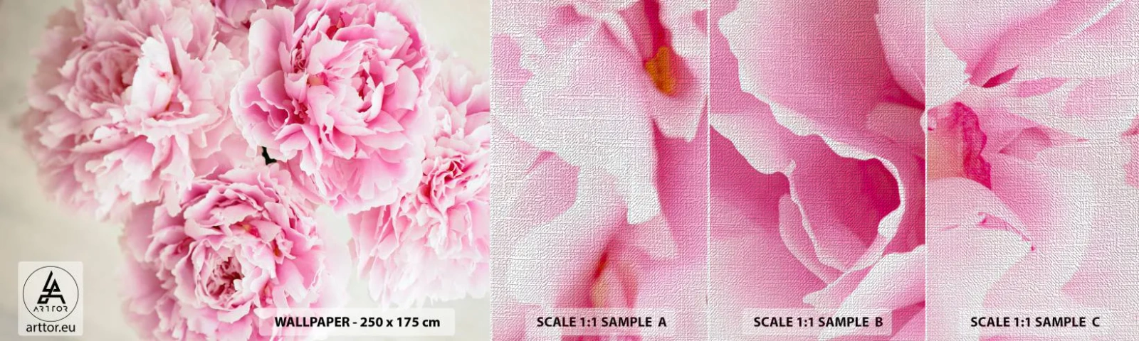 Amostra de papel de parede Premium Canvas - Em esplendor rosa - Peônias, Buquê de flores, Flores - 100x30 cm