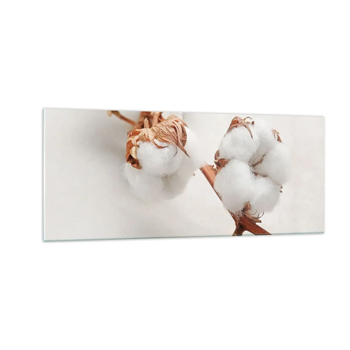 Quadro em vidro - Apenas acaricie - 100x40 cm