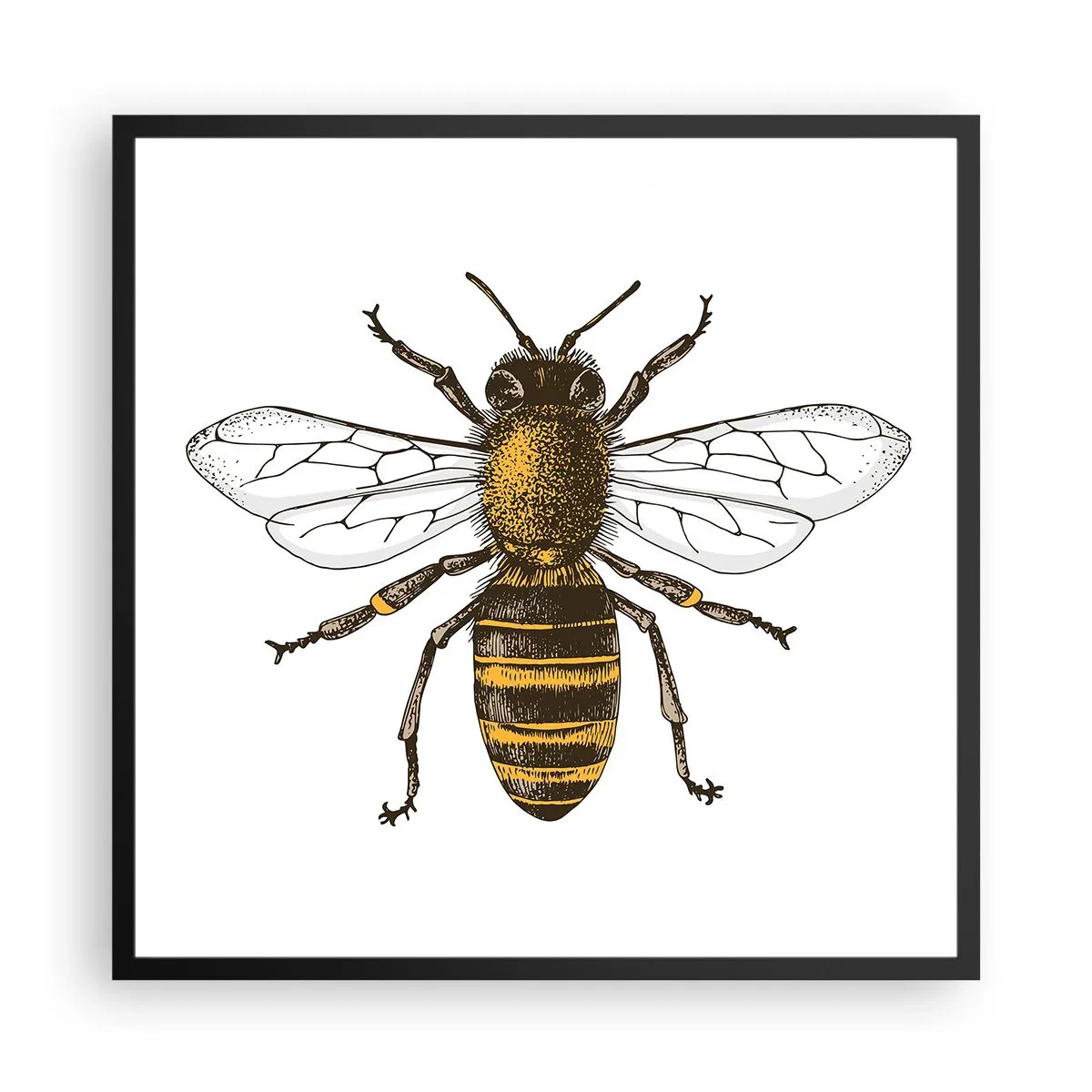 Pôster com moldura preta - Linda e boa - 60x60 cm