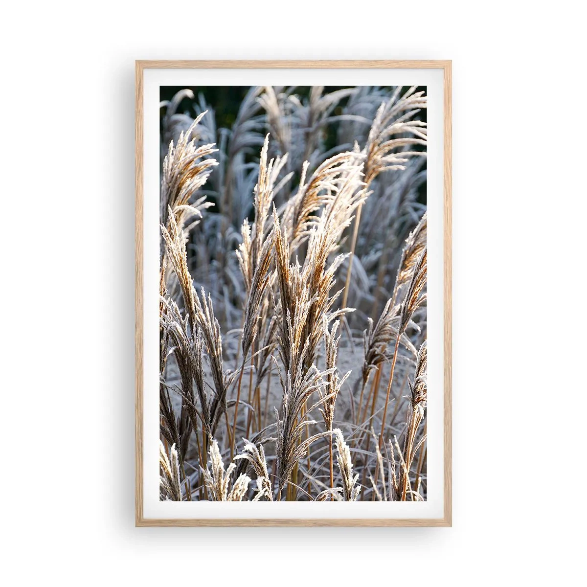 Pôster com moldura de carvalho claro - Decorado com a geada - 61x91 cm