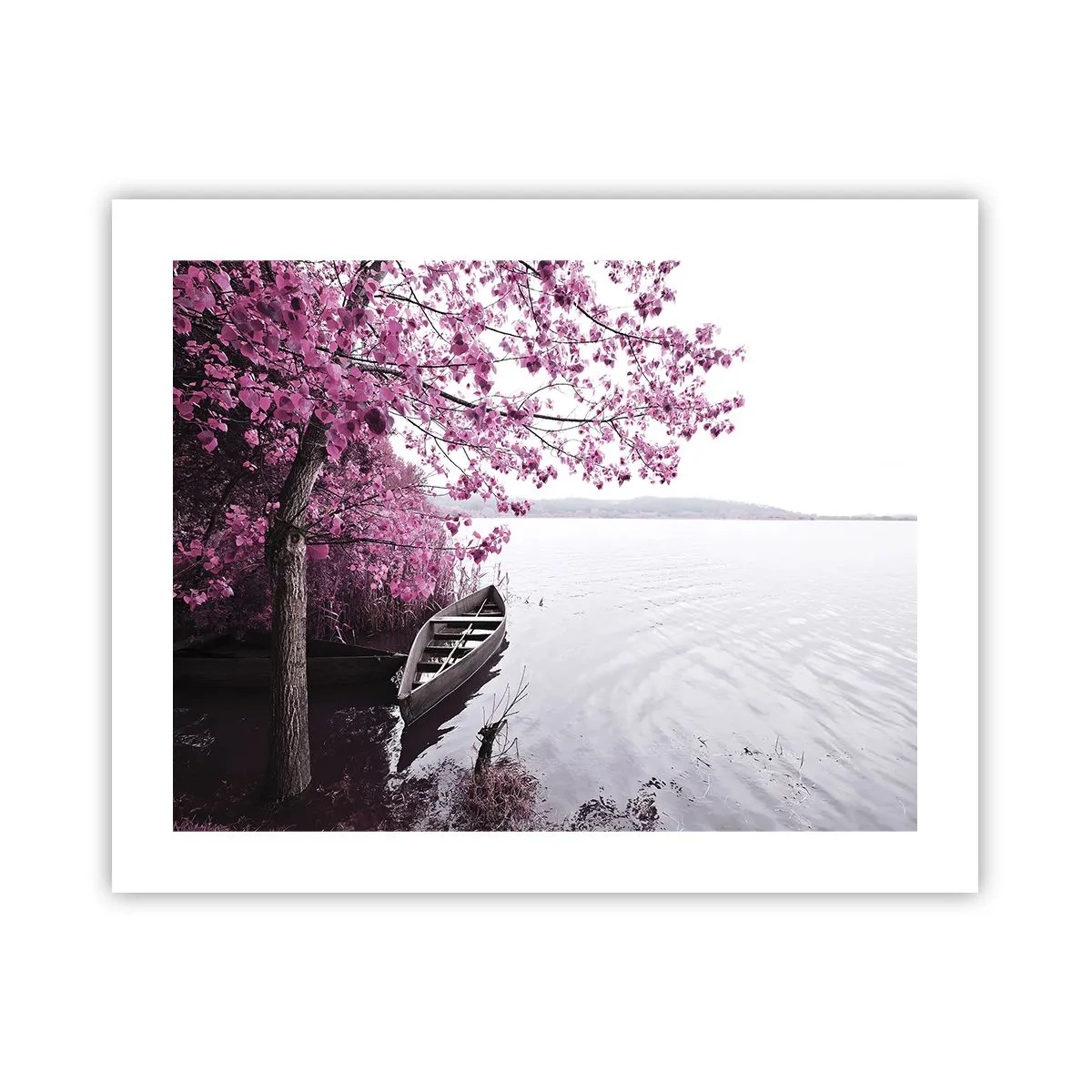 Pôster - Em silêncio cor-de-rosa - 50x40 cm