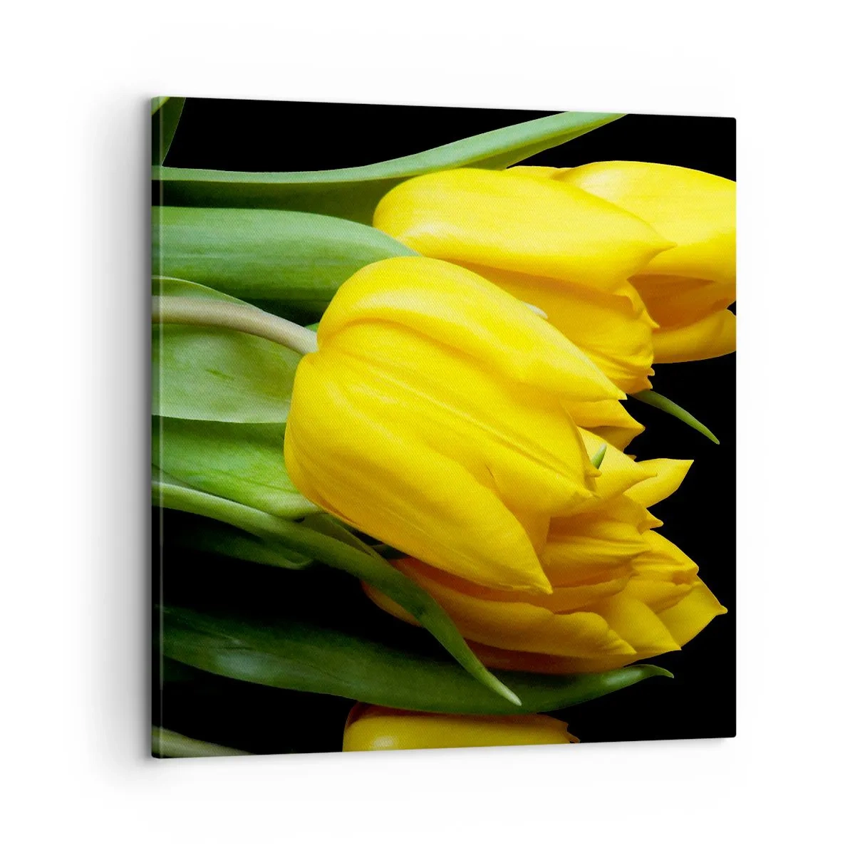 Quadro em tela - Feitas a partir do sol - 60x60 cm