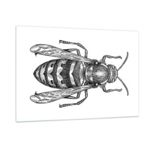 Quadro em vidro - De um planeta de insetos - 120x80 cm