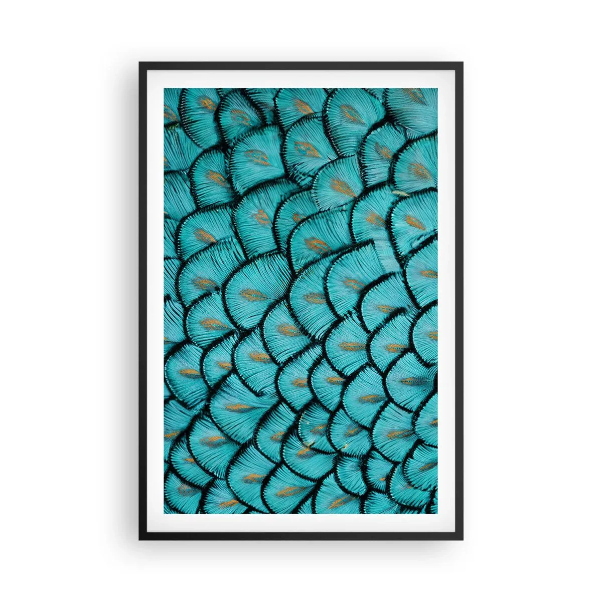 Pôster com moldura preta - A grande gala de penas - 61x91 cm