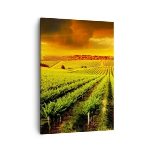 Quadro em tela - Sob o sol australiano - 50x70 cm