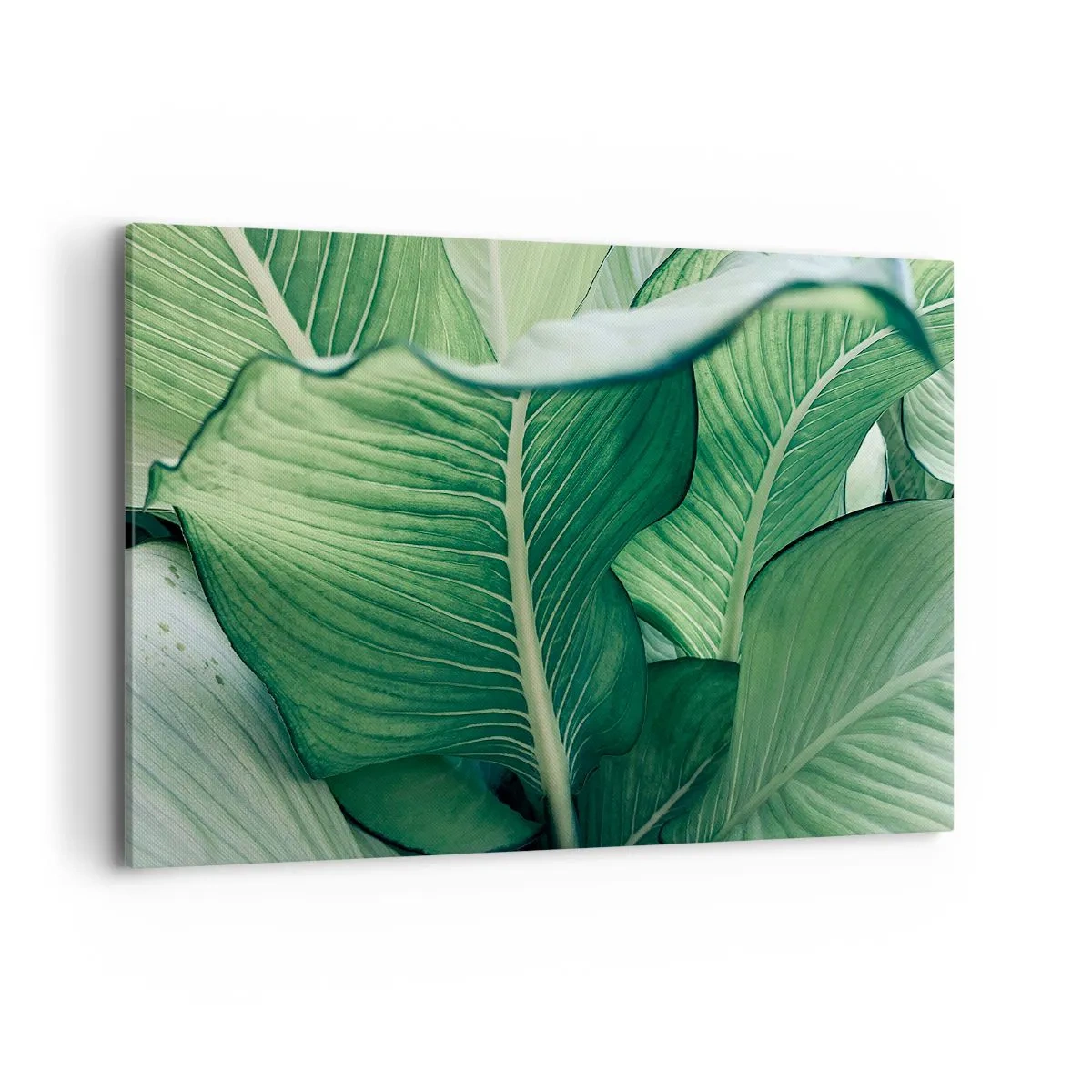 Quadro em tela - Vida intensamente verde - 120x80 cm