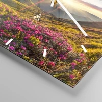 Mostrador com traços