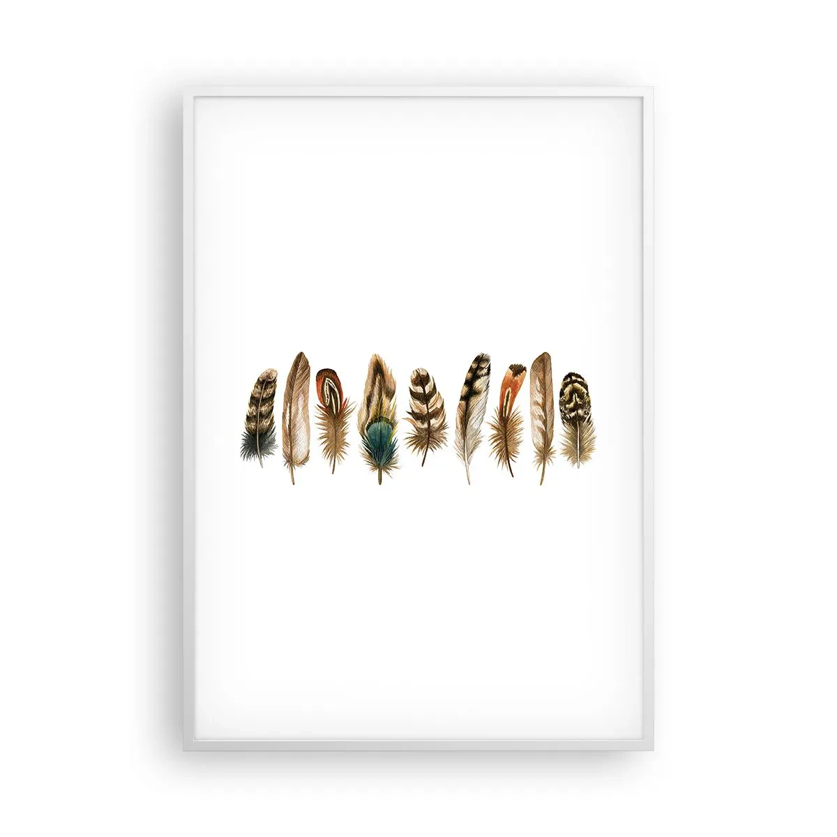 Pôster em moldura branca - Variações de penas - 70x100 cm