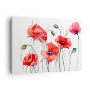 Quadro em tela - Papoulas em aquarela sobre um fundo delicado - 70x50cm - Flores polacas - Decoração de parede moderna para a sala de estar e quarto ARTTOR