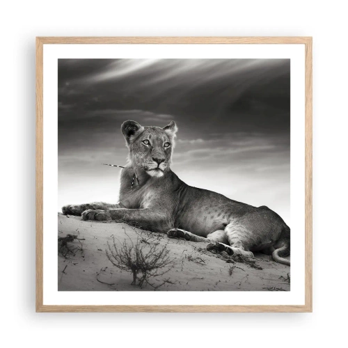 Pôster com moldura de carvalho claro - Descanso da Rainha do Deserto - 60x60 cm