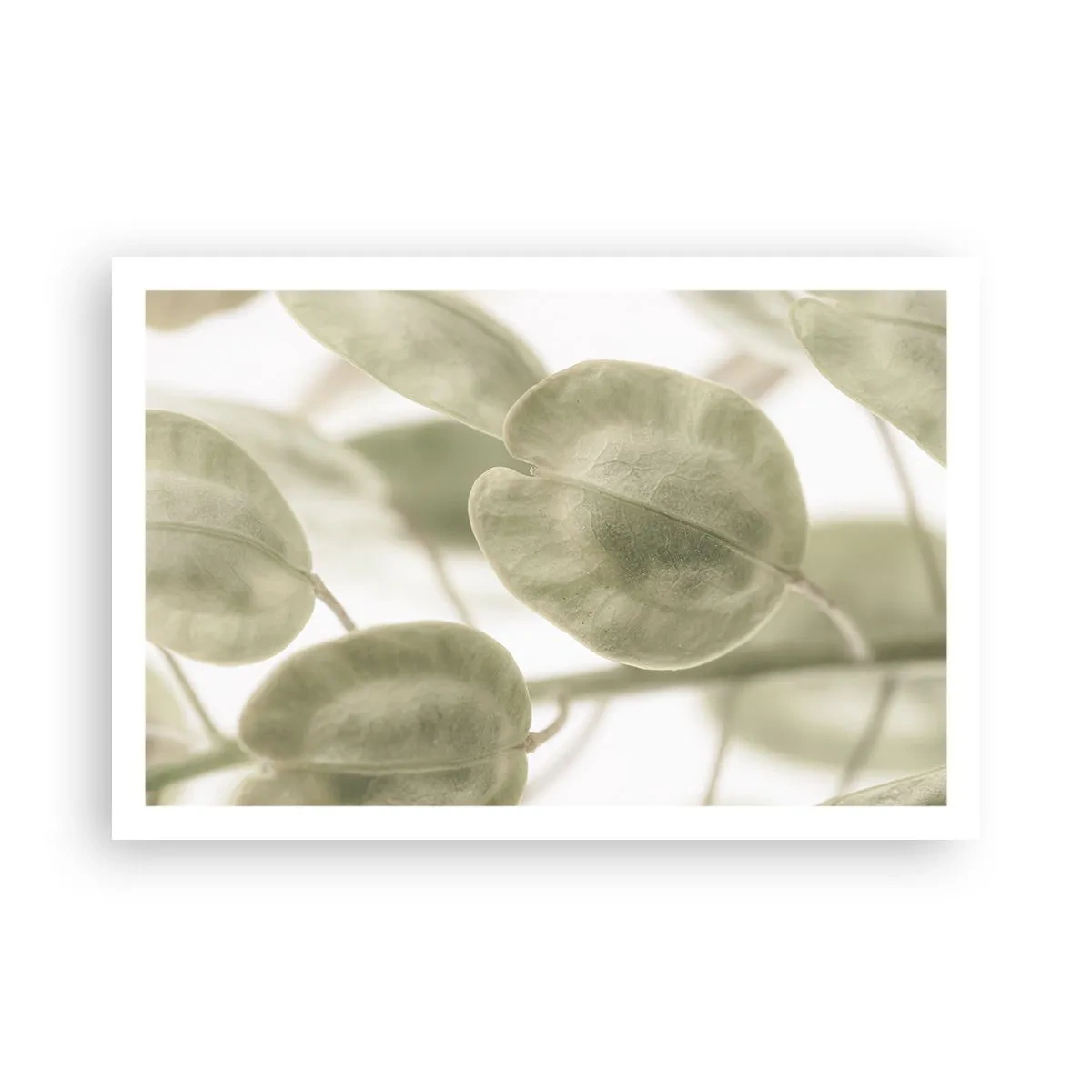 Pôster - No começo eram folhas... - 91x61 cm