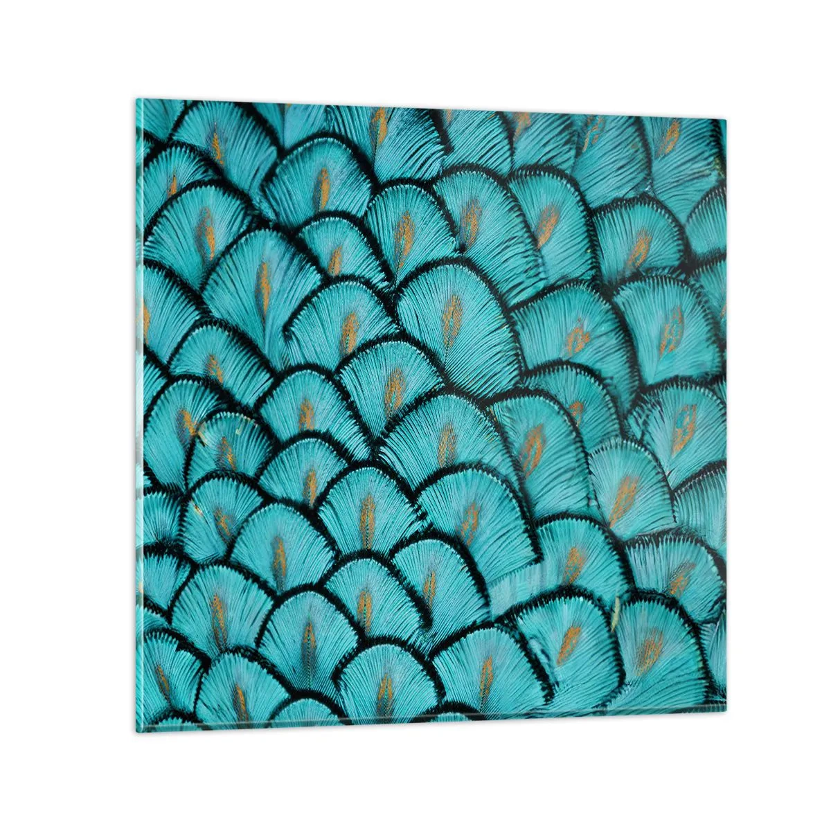 Quadro em vidro - A grande gala de penas - 40x40 cm