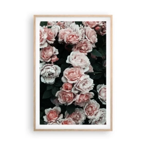 Pôster com moldura de carvalho claro - Conjuntos de rosas - 61x91 cm
