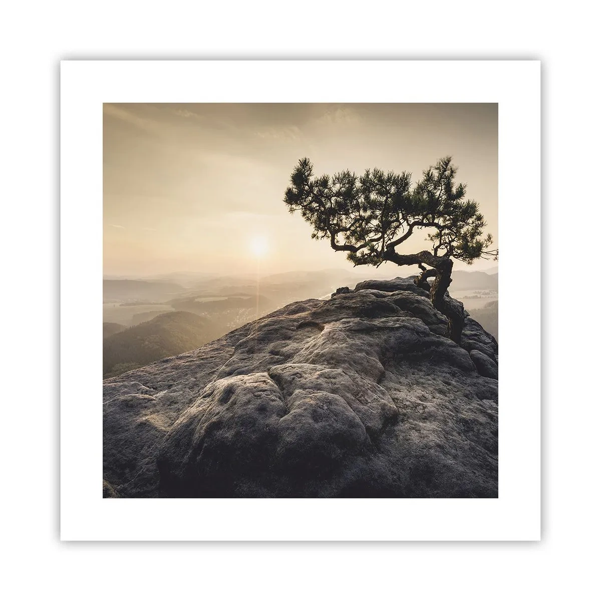 Pôster - A vida ganha sempre - 40x40 cm