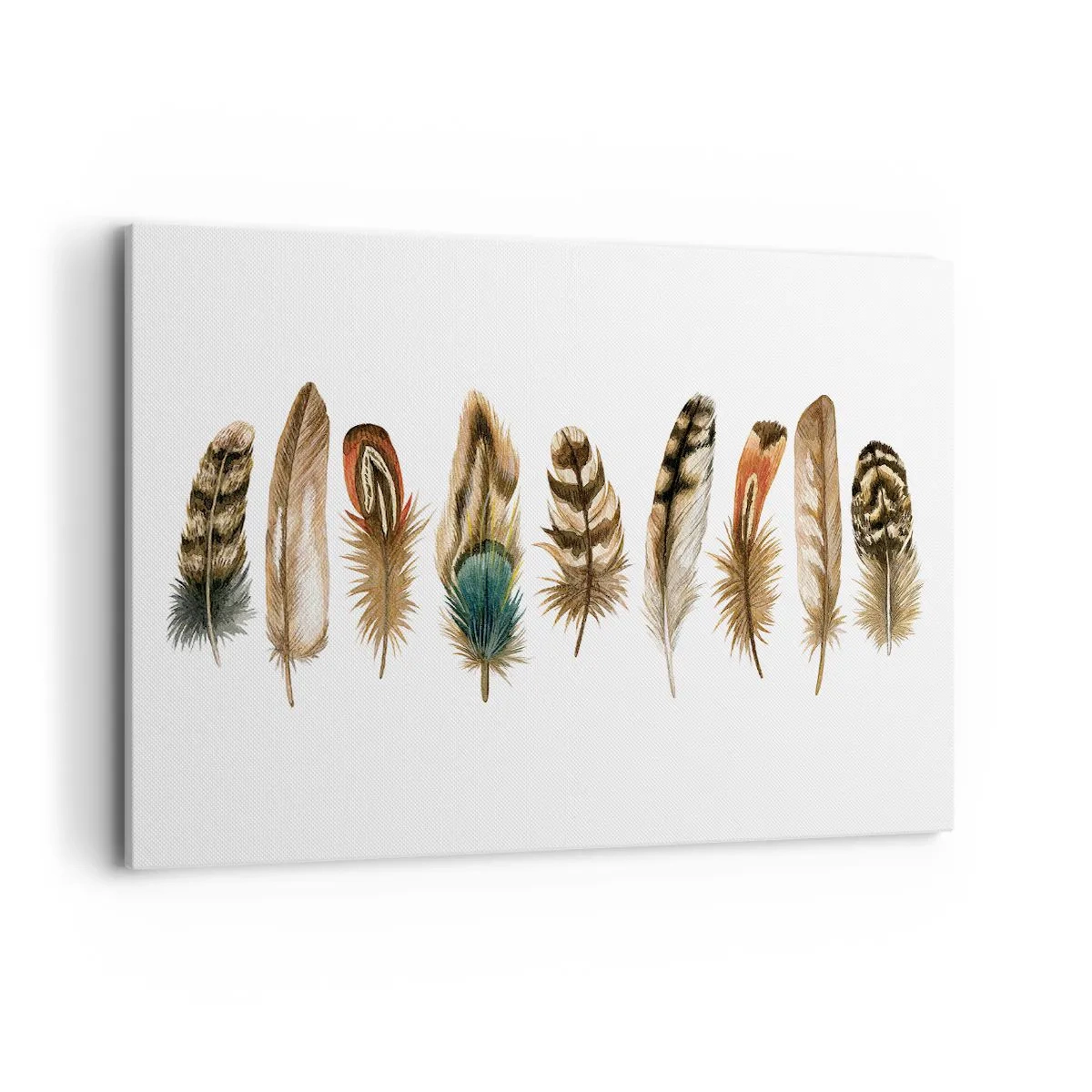Quadro em tela - Variações de penas - 120x80 cm