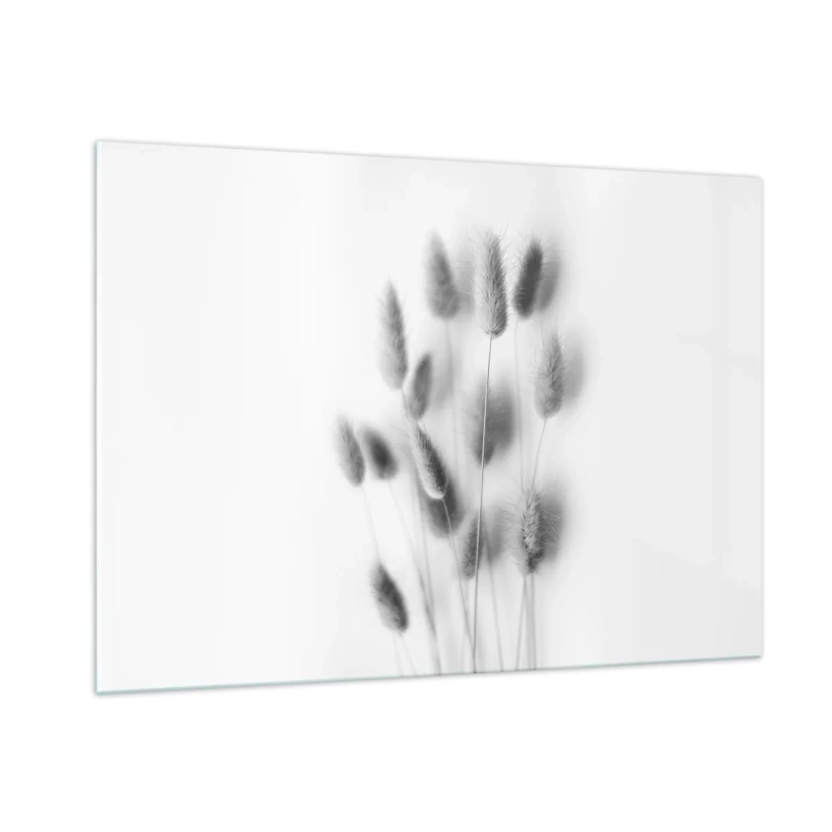 Quadro em vidro - Grama fofa - 100x70 cm