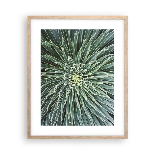 Pôster com moldura de carvalho claro - Nasce uma estrela - 40x50 cm