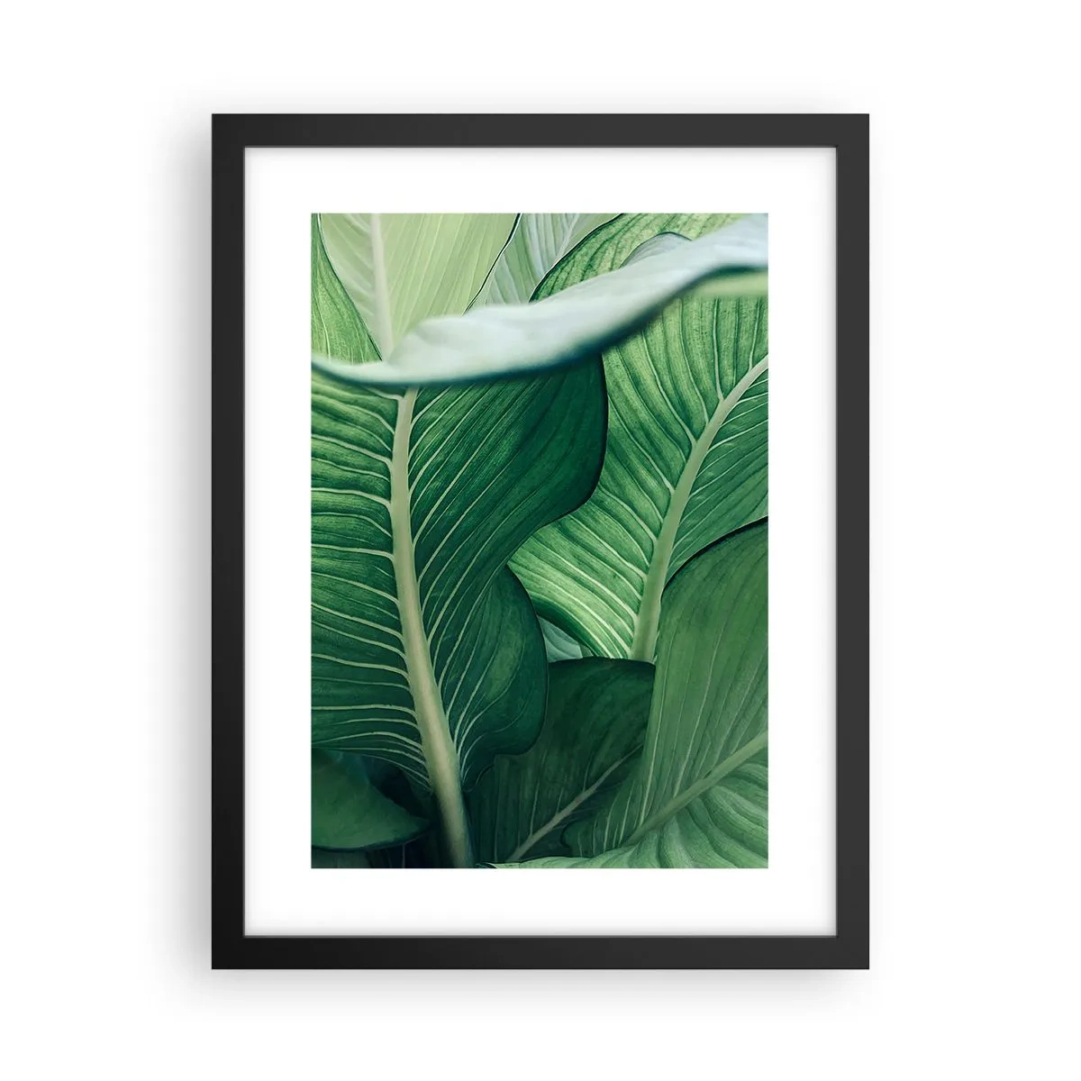 Pôster com moldura preta - Vida intensamente verde - 30x40 cm