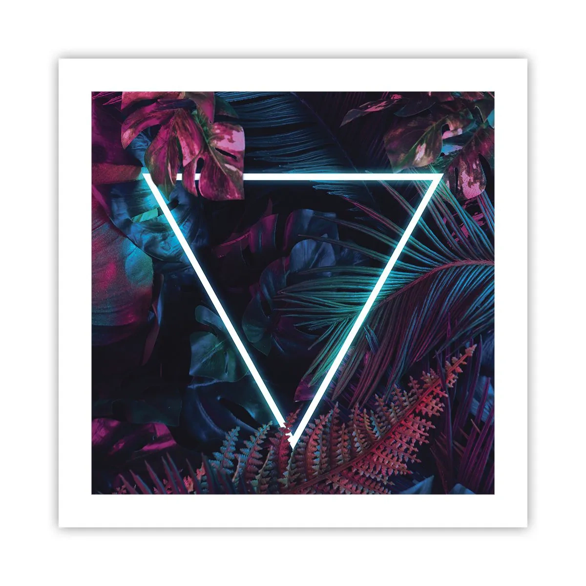Pôster - Jardim estilo discoteca - 50x50 cm