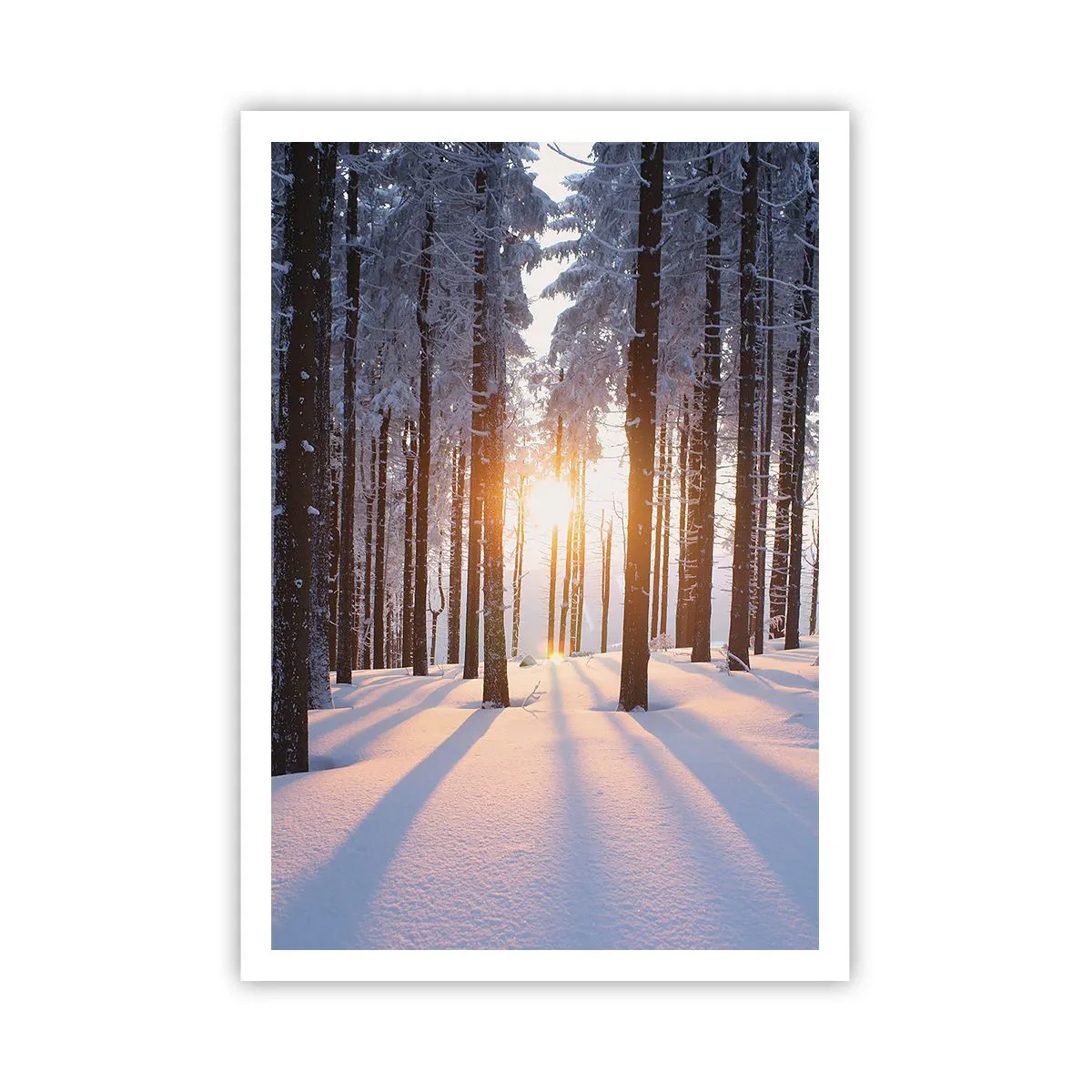 Pôster - Preto no branco - 70x100 cm