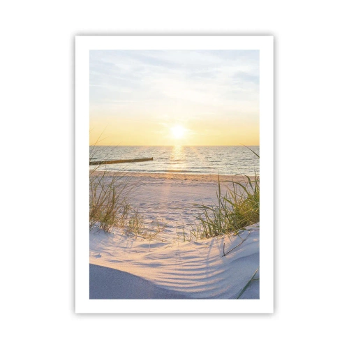 Pôster - O som do mar, o canto dos pássaros, a praia selvagem entre a relva... - 50x70 cm